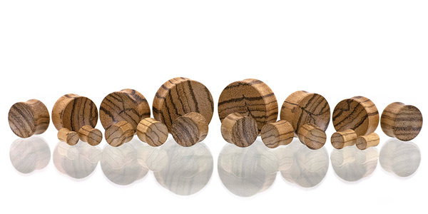 Spread of ear gauge plugs in Zebrawood with concave faces.